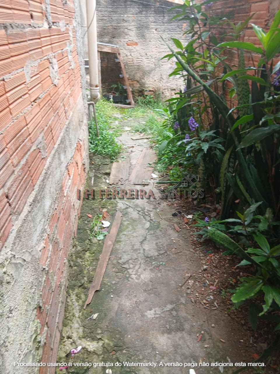 WhatsApp Image 2026-02-18 at 10.23.09 (2)